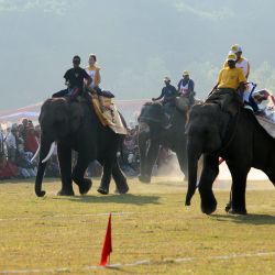 International Elephant Race